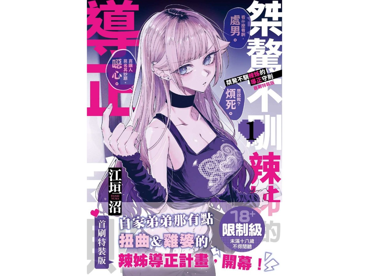 桀驁不馴辣姊的導正守則（１）首刷特裝版