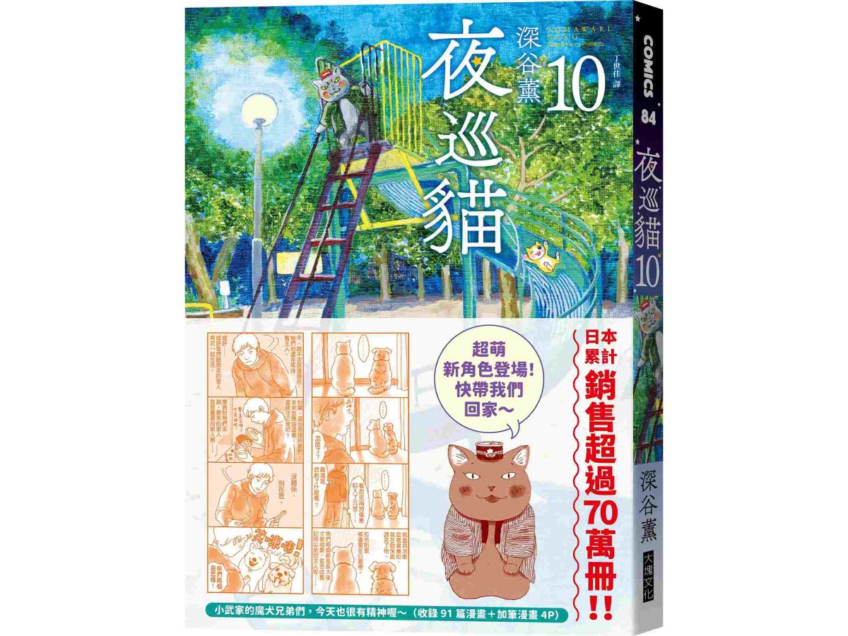 夜巡貓10