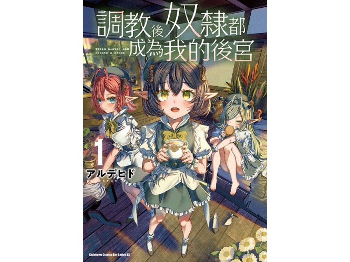 調教後奴隸都成為我的後宮（１）