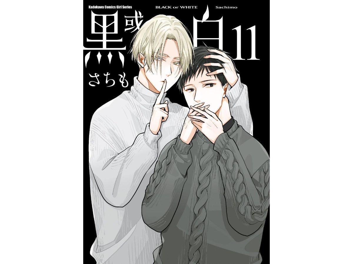 黑或白（１１）