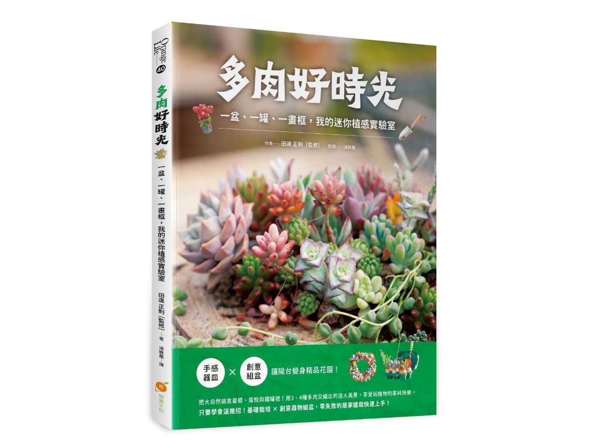 多肉好時光：一盆、一罐、一畫框，我的迷你植感實驗室