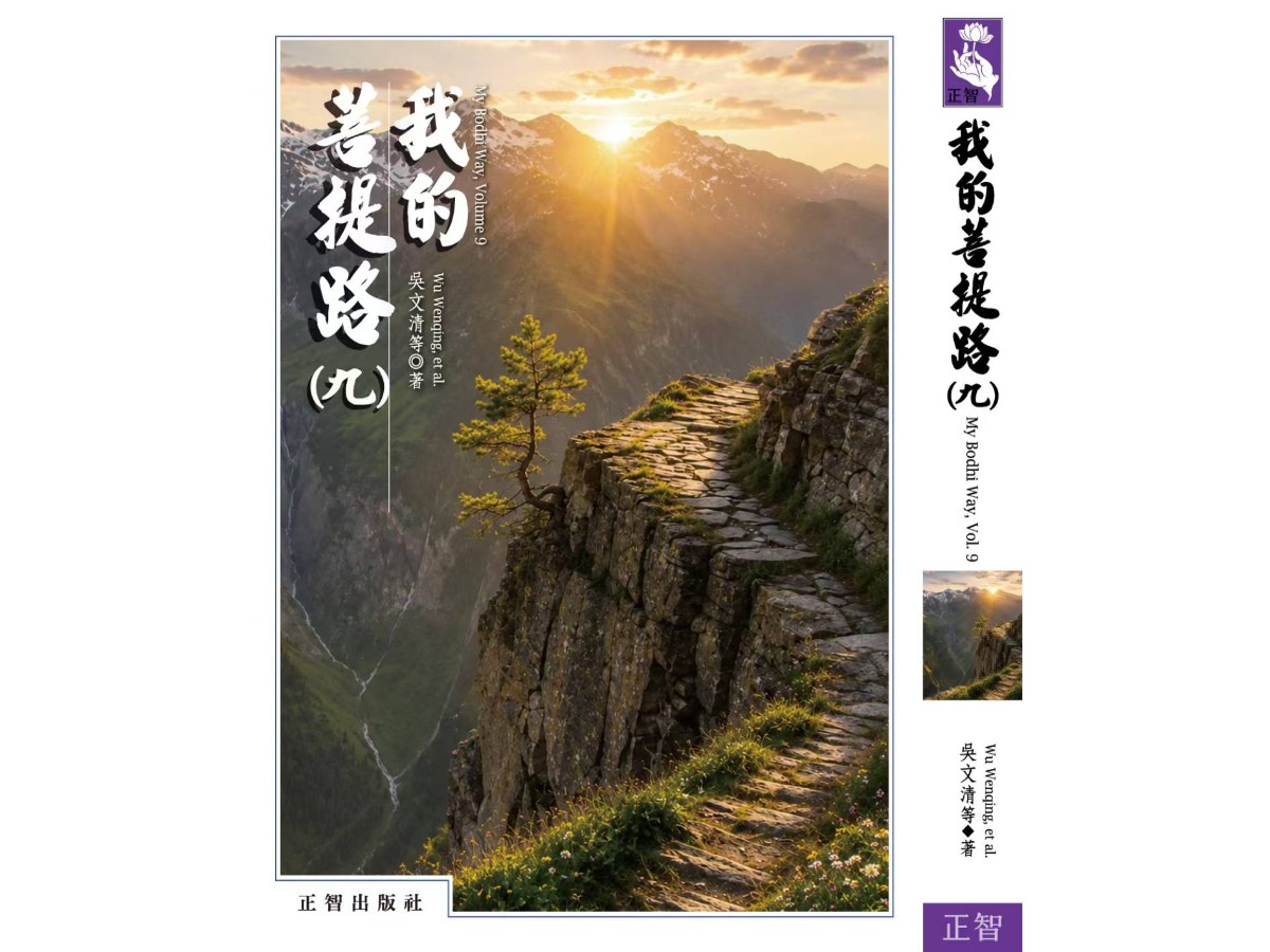 我的菩提路  第九輯
