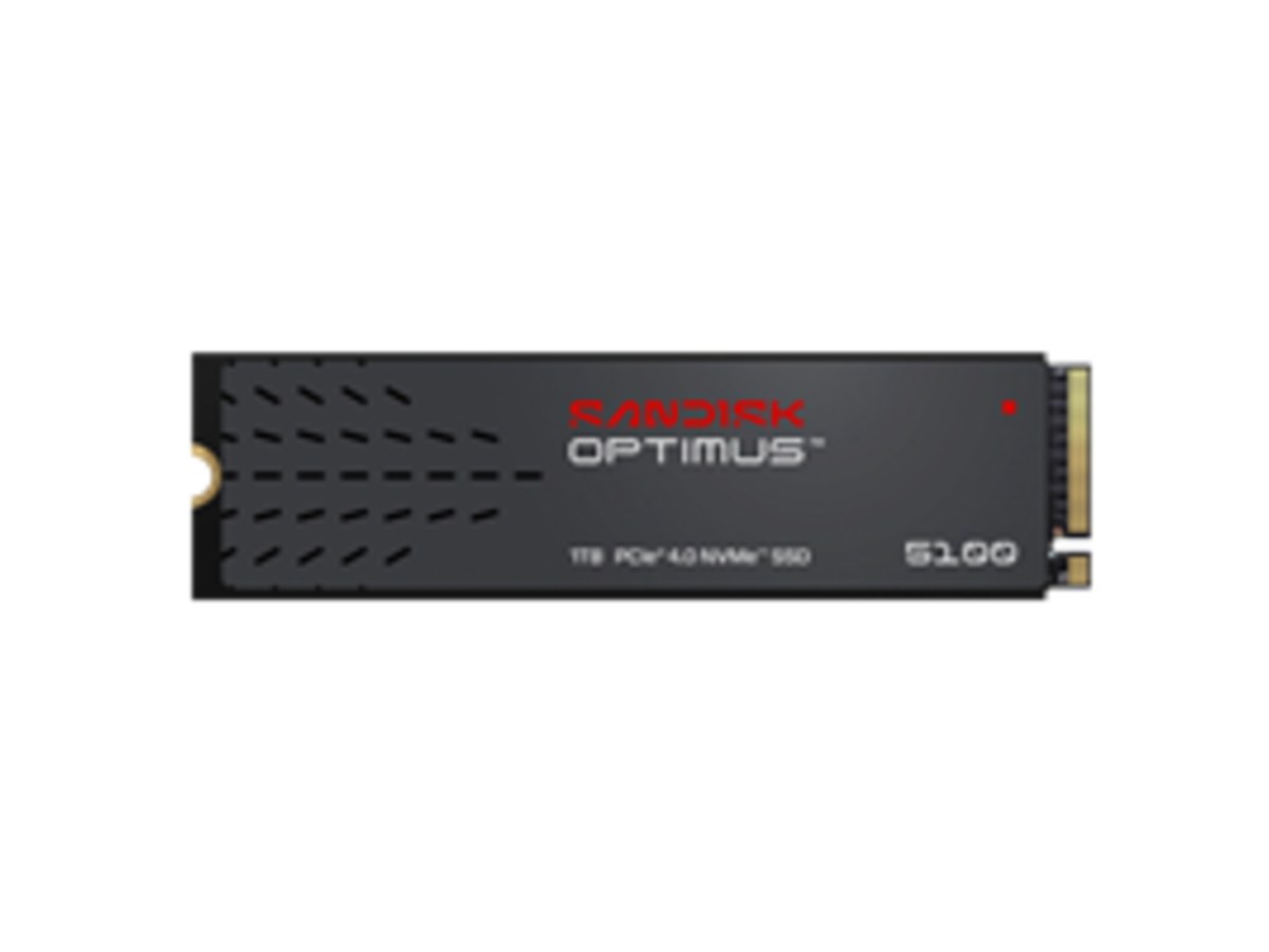 SANDISK Optimus 5100 PCIe M2 1TB