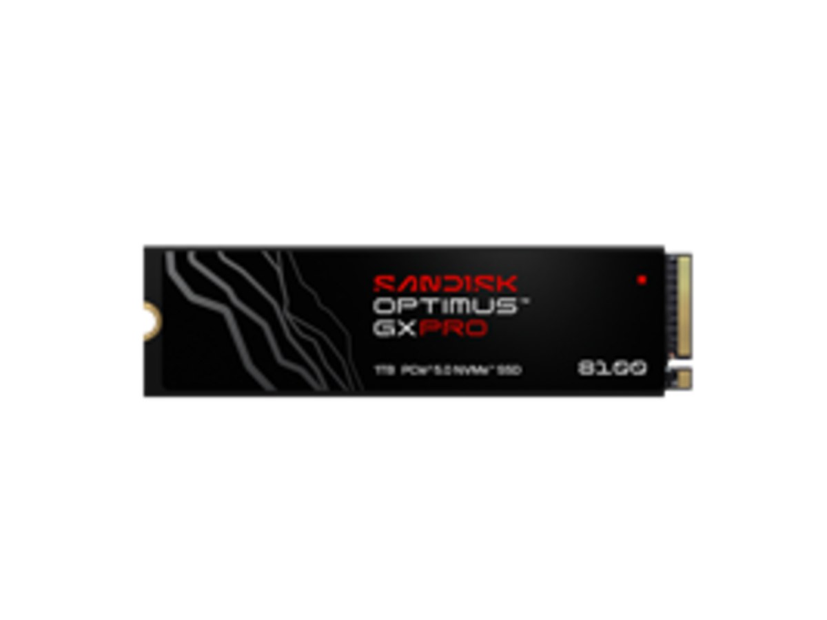 SANDISK Optimus GX Pro 8100 PCIe M2 1TB