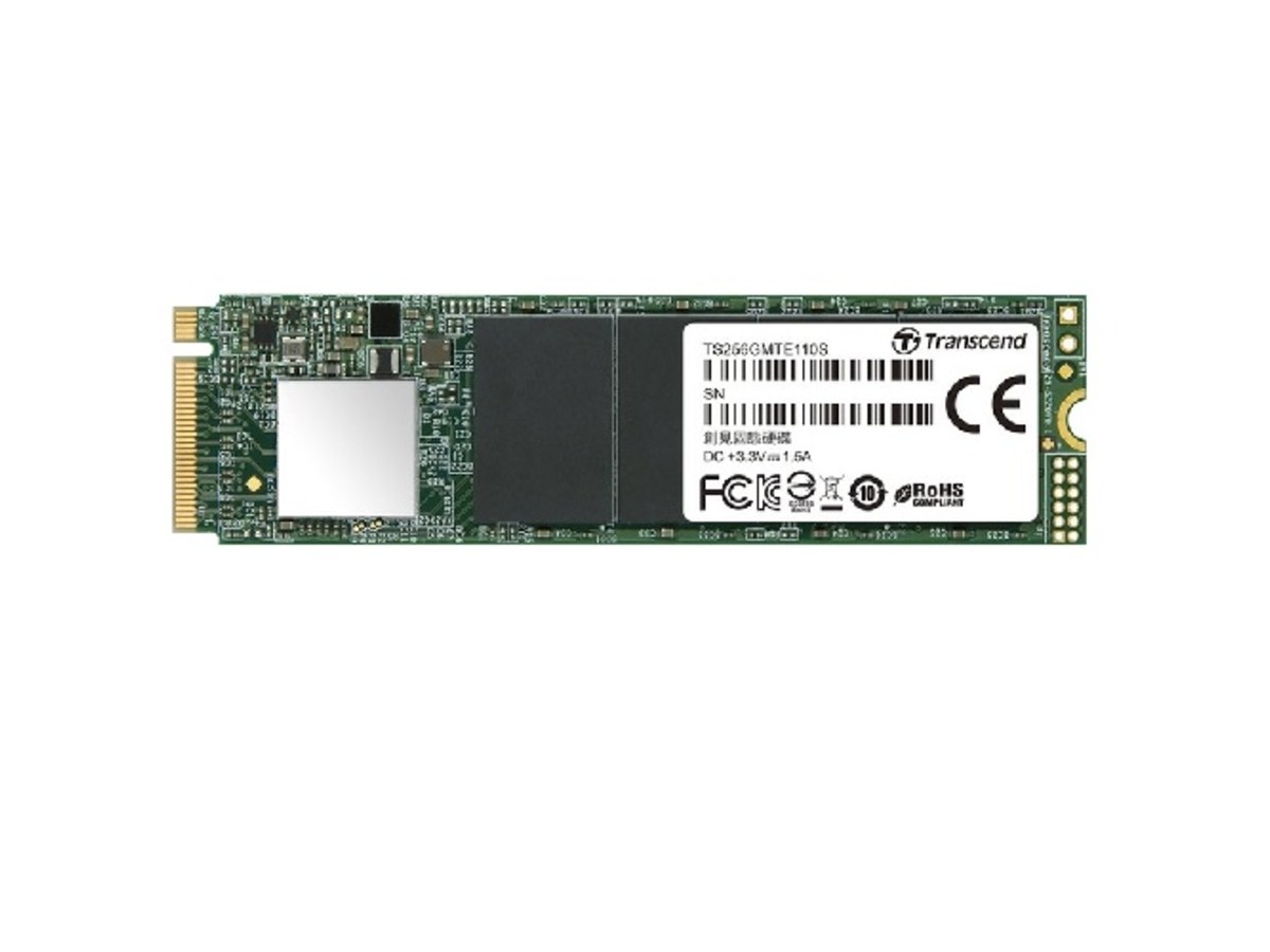 TRANSCEND TS256GMTE110S