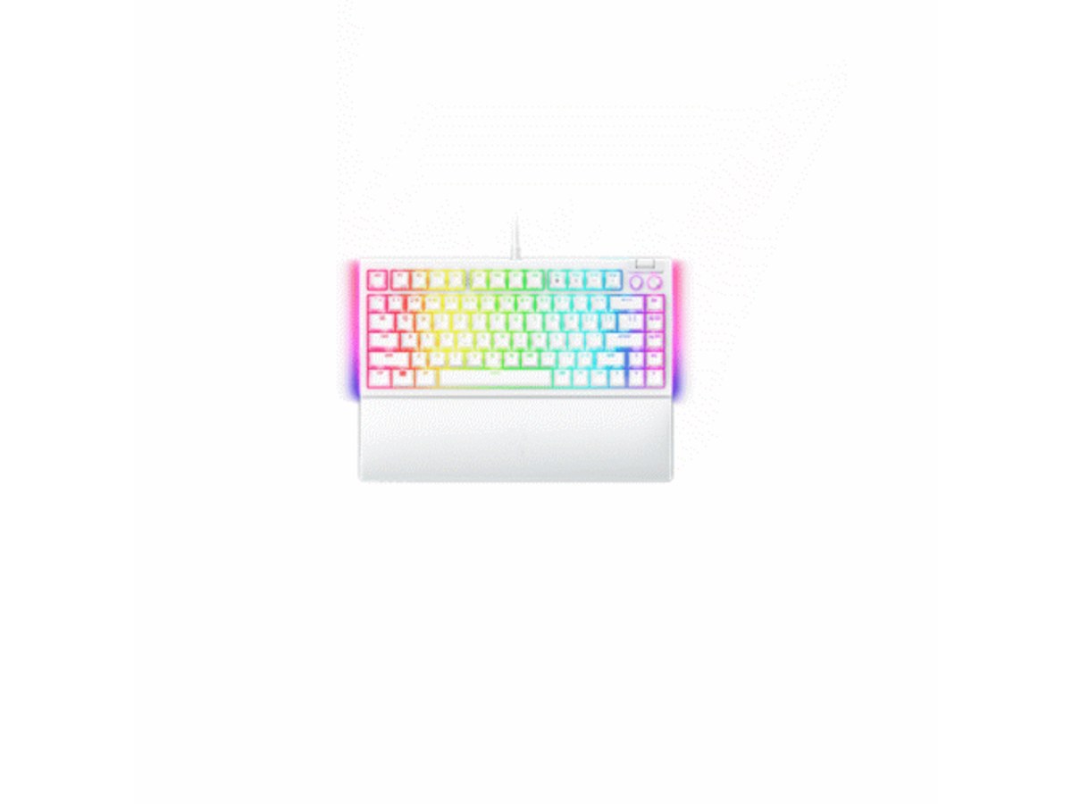 Razer RZ03-05001700-R3M1