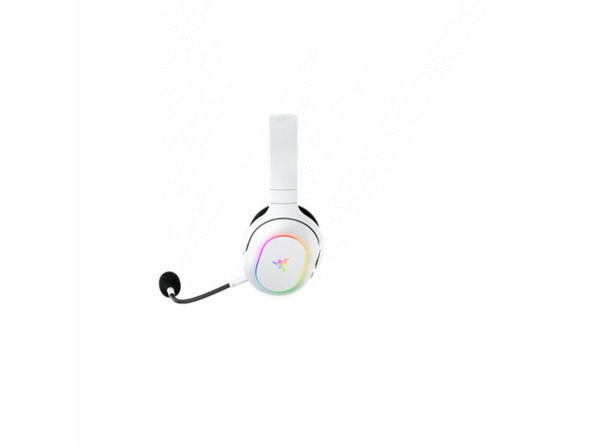 Razer RZ04-05220200-R3M1