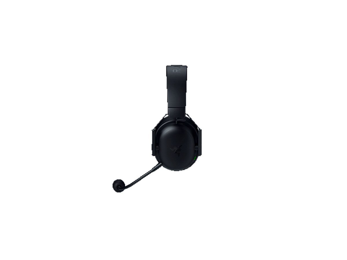 Razer RZ04-05420100-R3M1