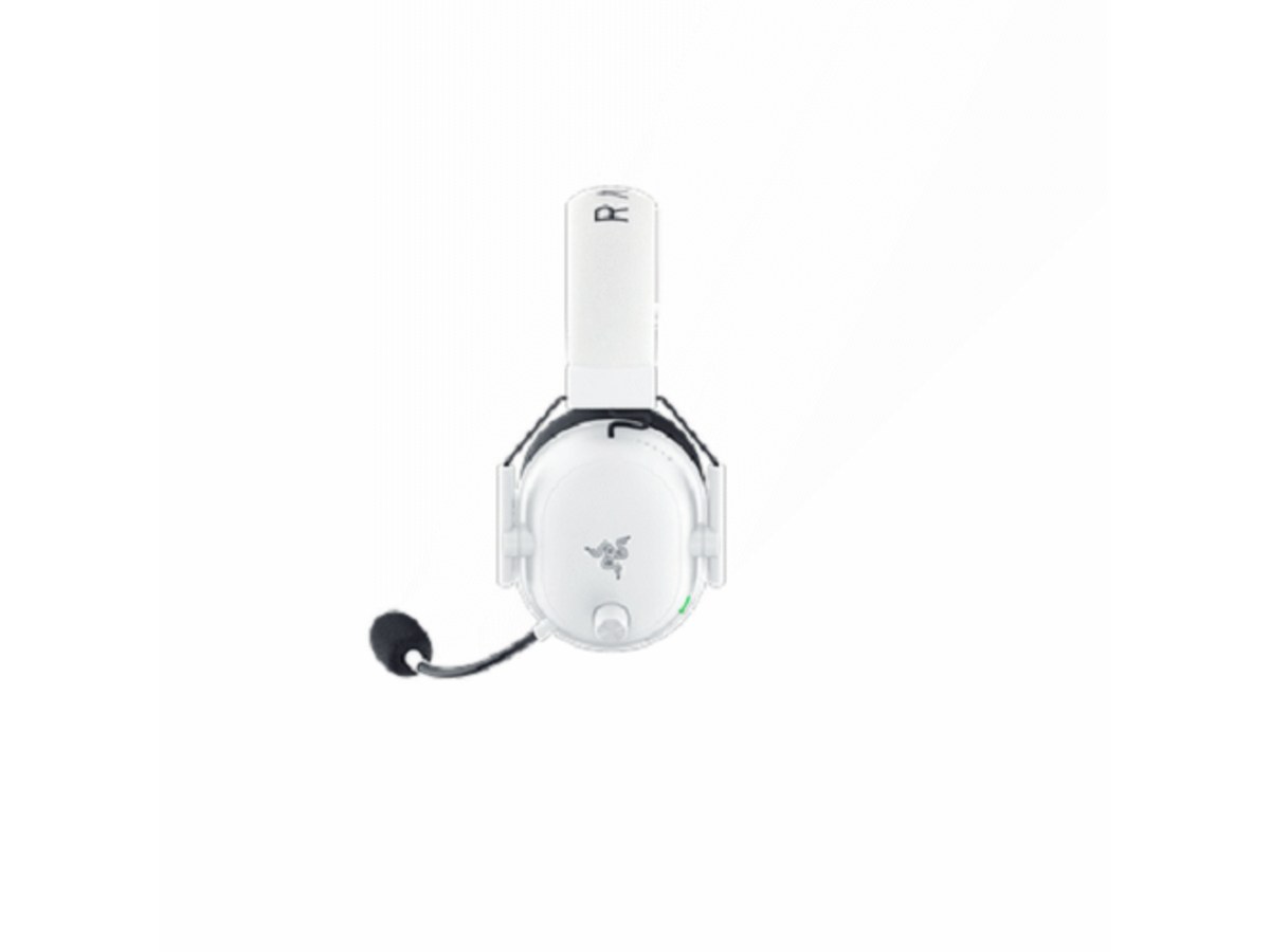 Razer RZ04-04960200-R3M1