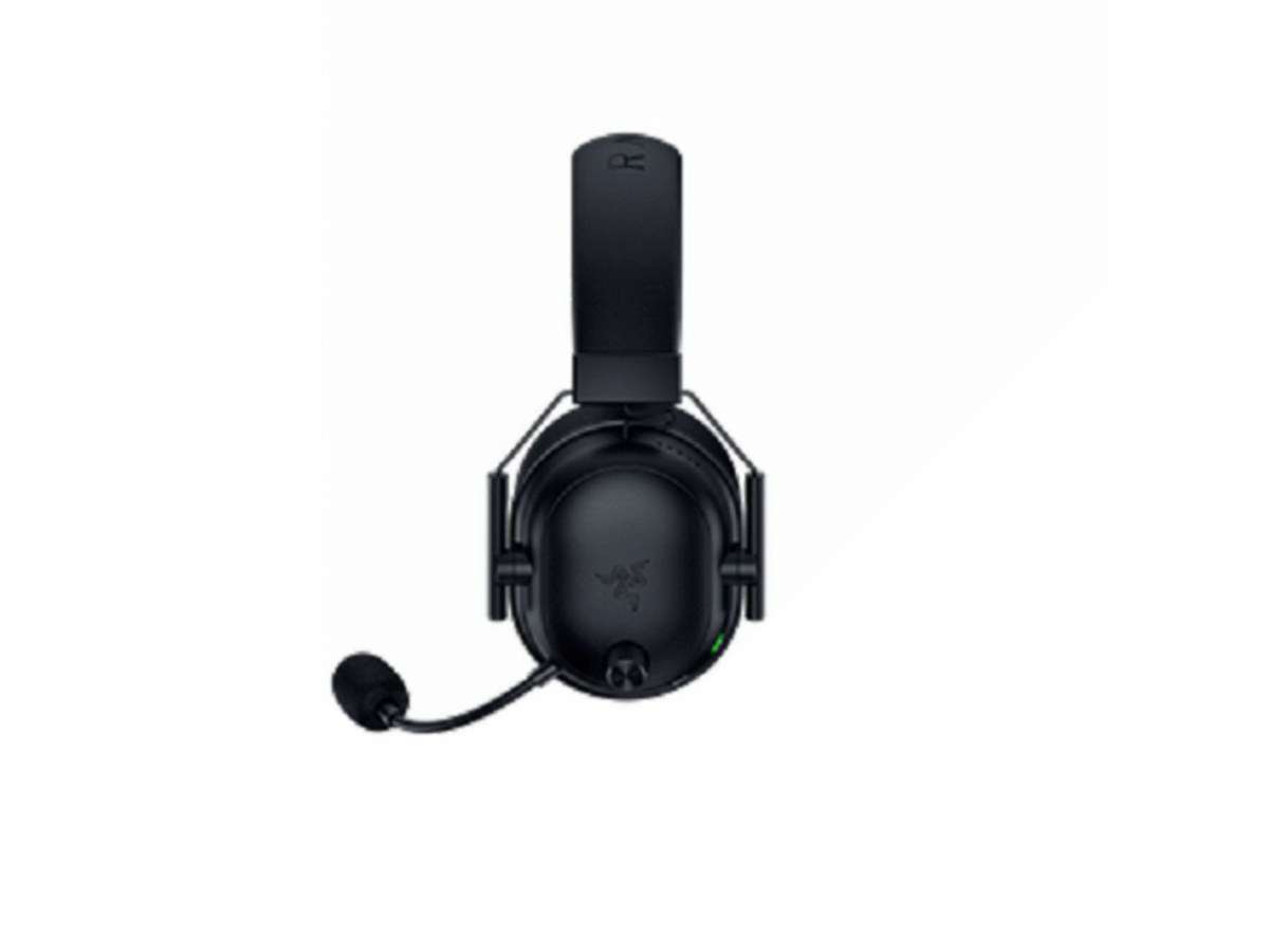 Razer RZ04-04960100-R3M1