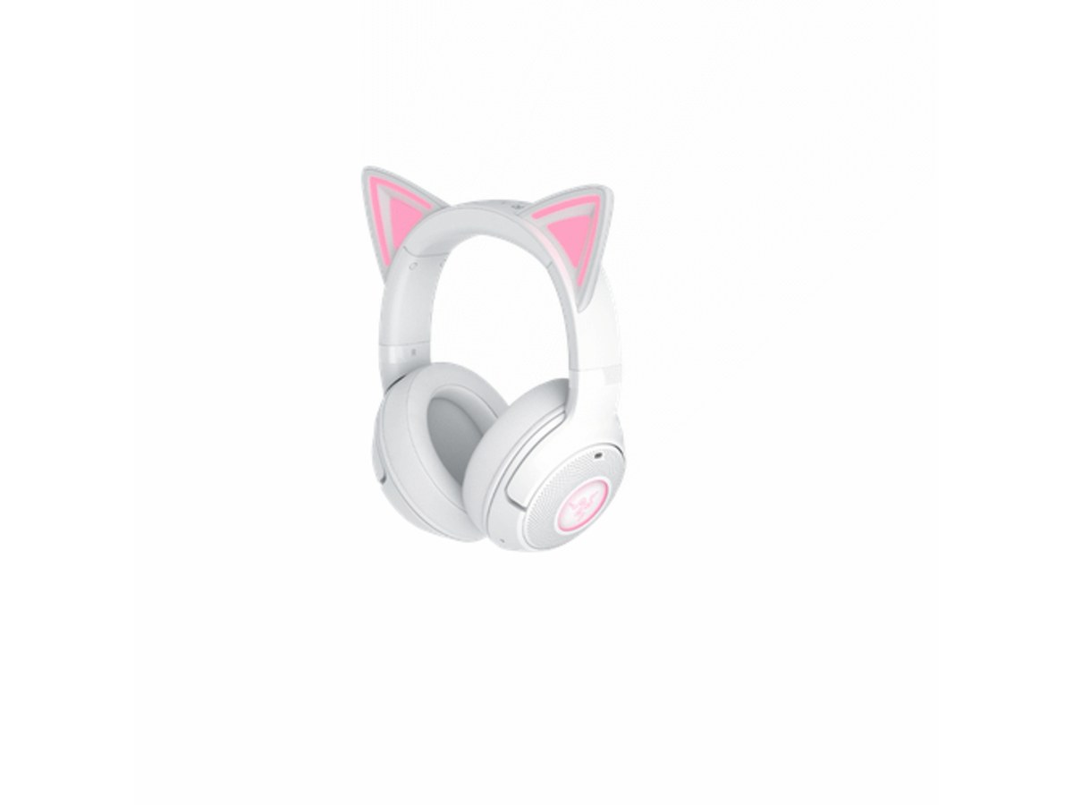 Razer RZ04-04860600-R3M1