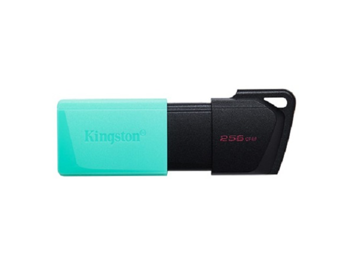 KINGSTON DTXM/256GB