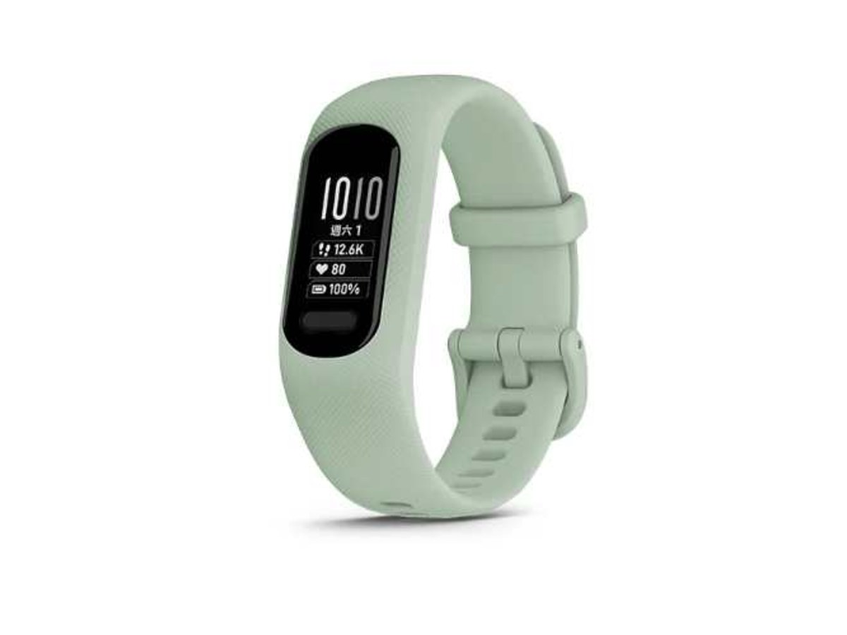 GARMIN 010-02645-22