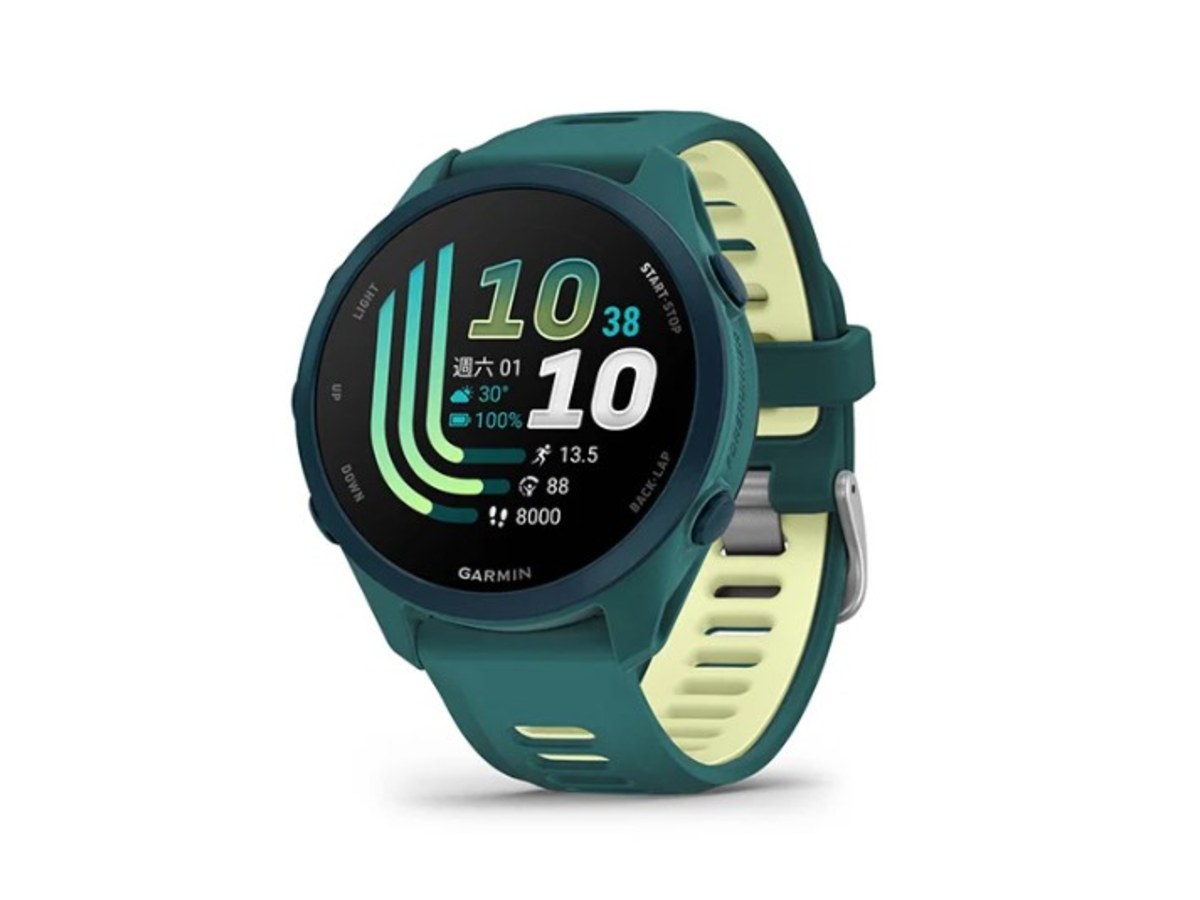 GARMIN 010-03920-24