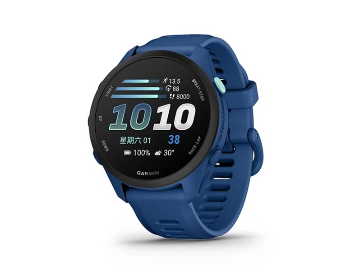 GARMIN 010-04307-15