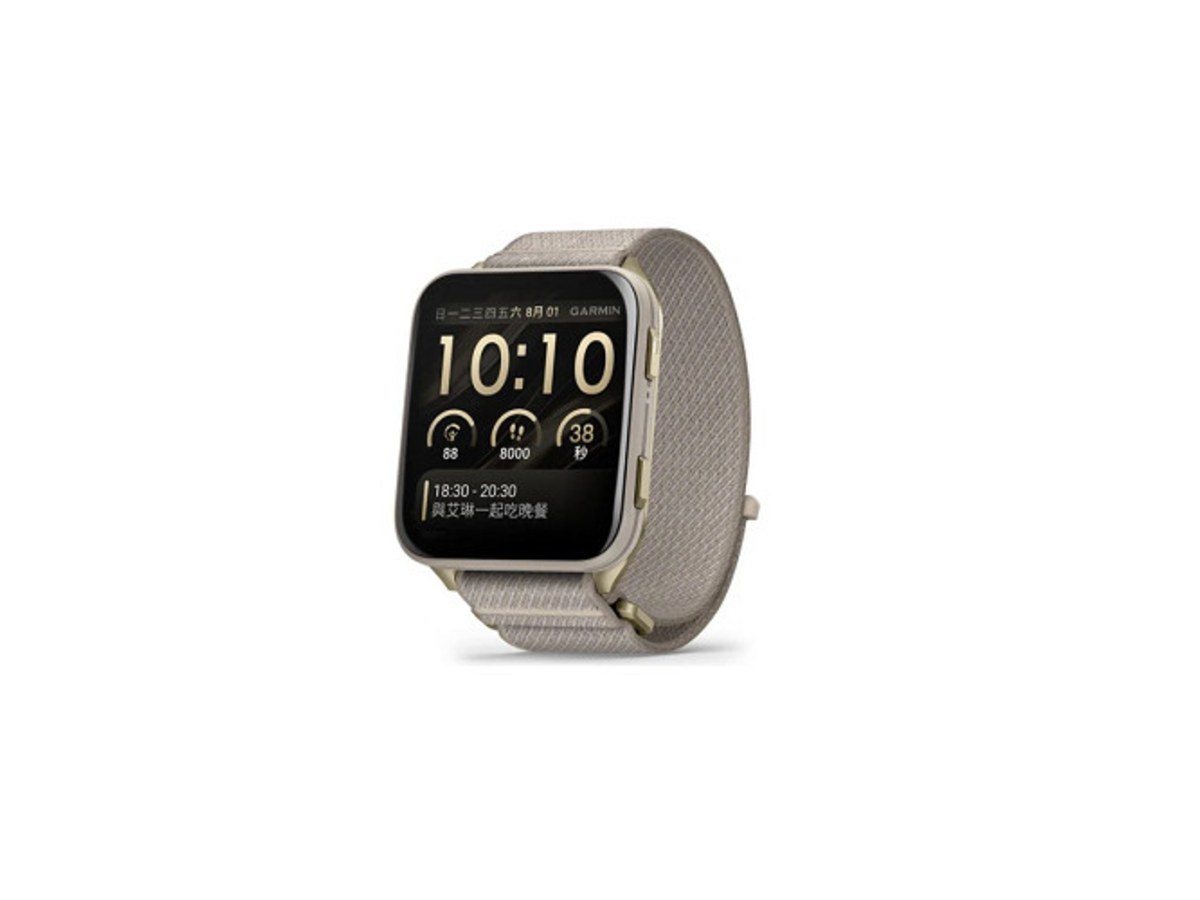 GARMIN 010-02980-30