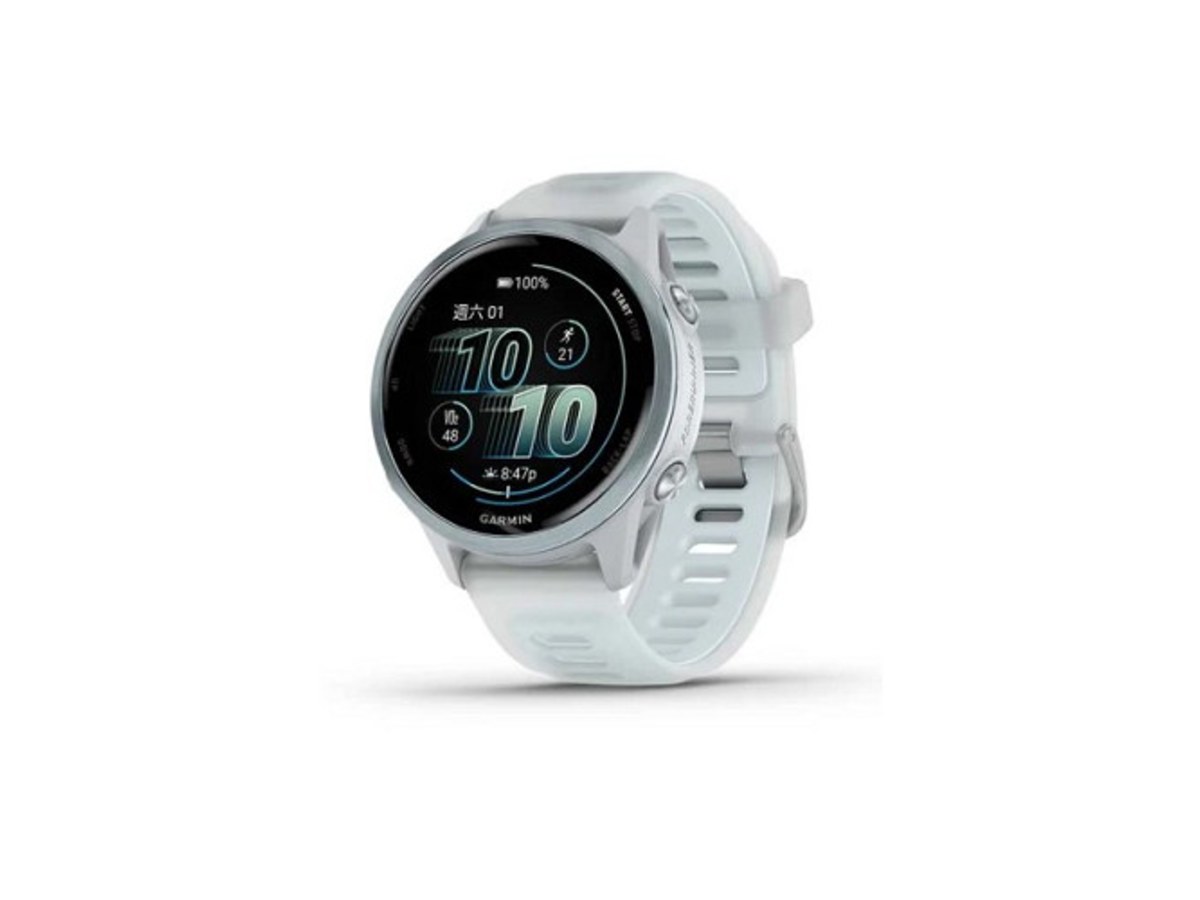 GARMIN 010-02970-11