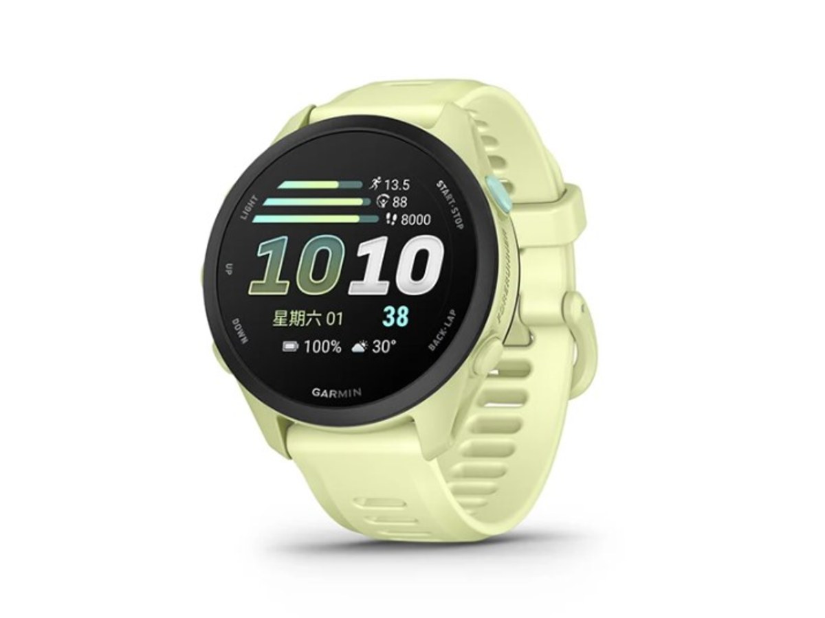 GARMIN 010-04307-12